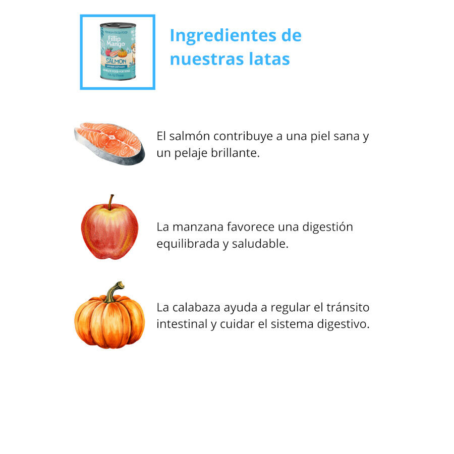 Pienso FIllip Mango para perros de salm&oacute;n, manzana y calabaza 400gr, , large Imagen numero 4