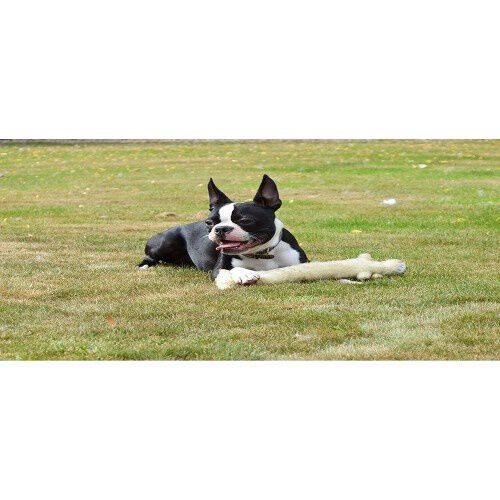 Happy Pet Loofa Perro de Peluche Juguete para perros, , large Imagen numero 2