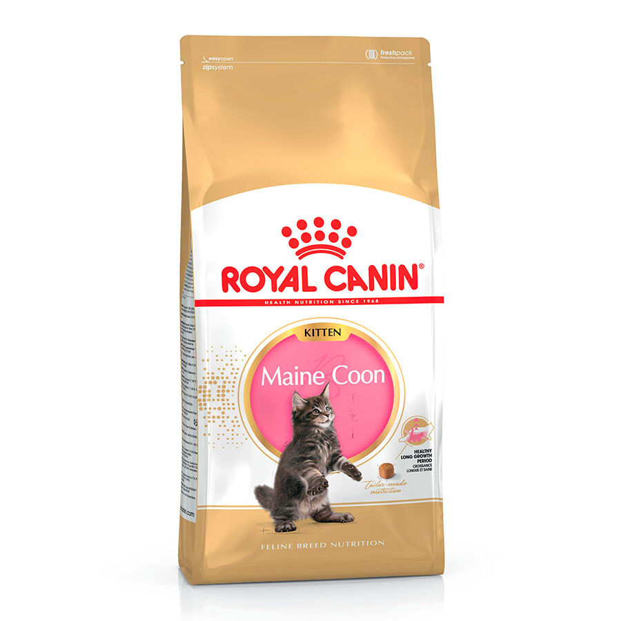 Royal Canin Kitten Maine Coon pienso para gatos thumbnail