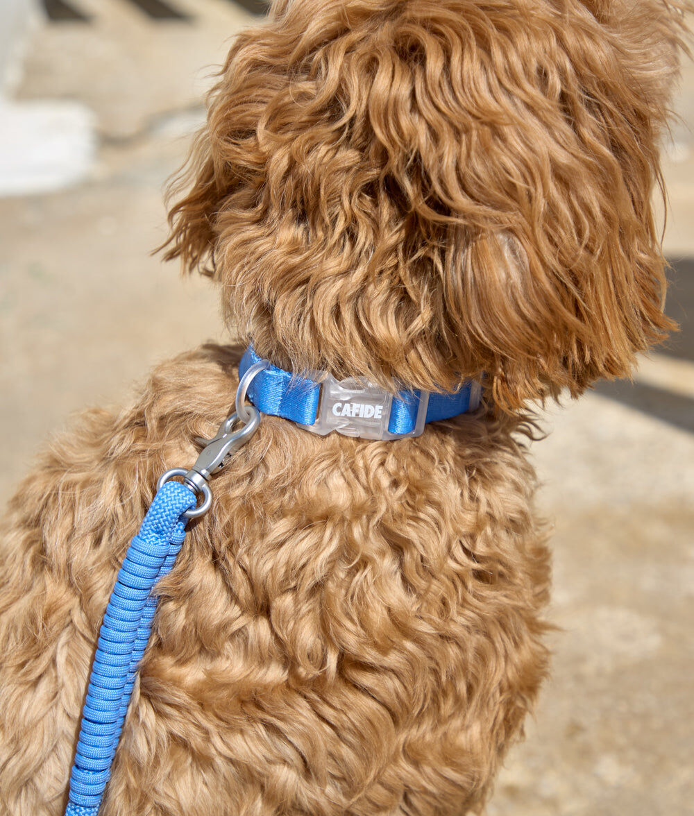 Collar, Ona, , large Imagen numero 2