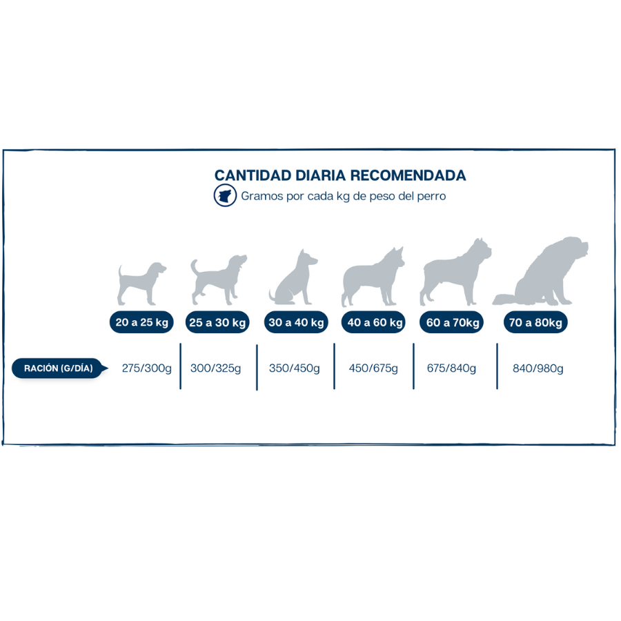 Lobo azul pienso grain free sabor pollo para perros adultos grandes y gigantes, , large Imagen numero 5