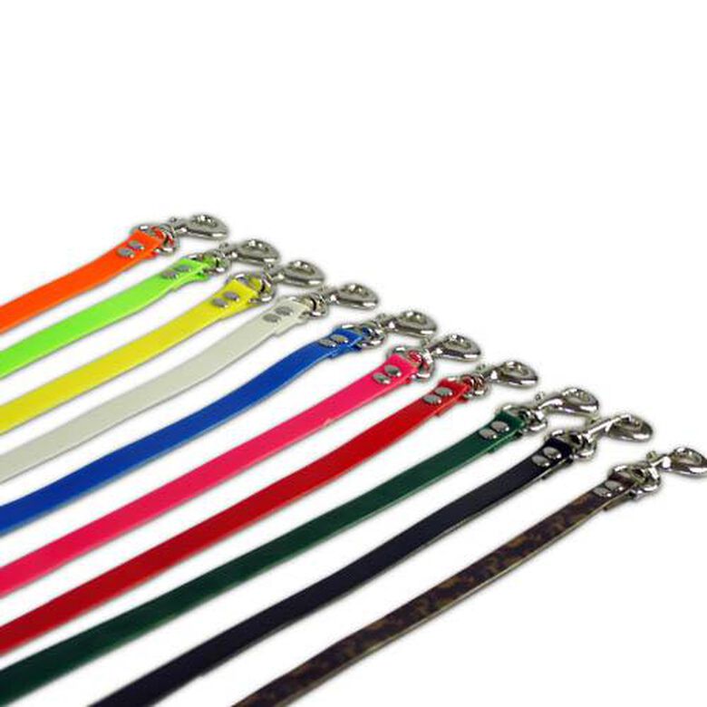 Ibañez Correa de poliuretano verde azul electrico para perro thumbnail