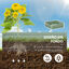 Outsunny Set de 2 Arriates de Jardín de Acero Huerto Urbano Jardinera Macetero Cuadrado para Cultivos Plantas Flores Patio Exterior 100x100x30 cm Verde, , large indicador imagen numero 5