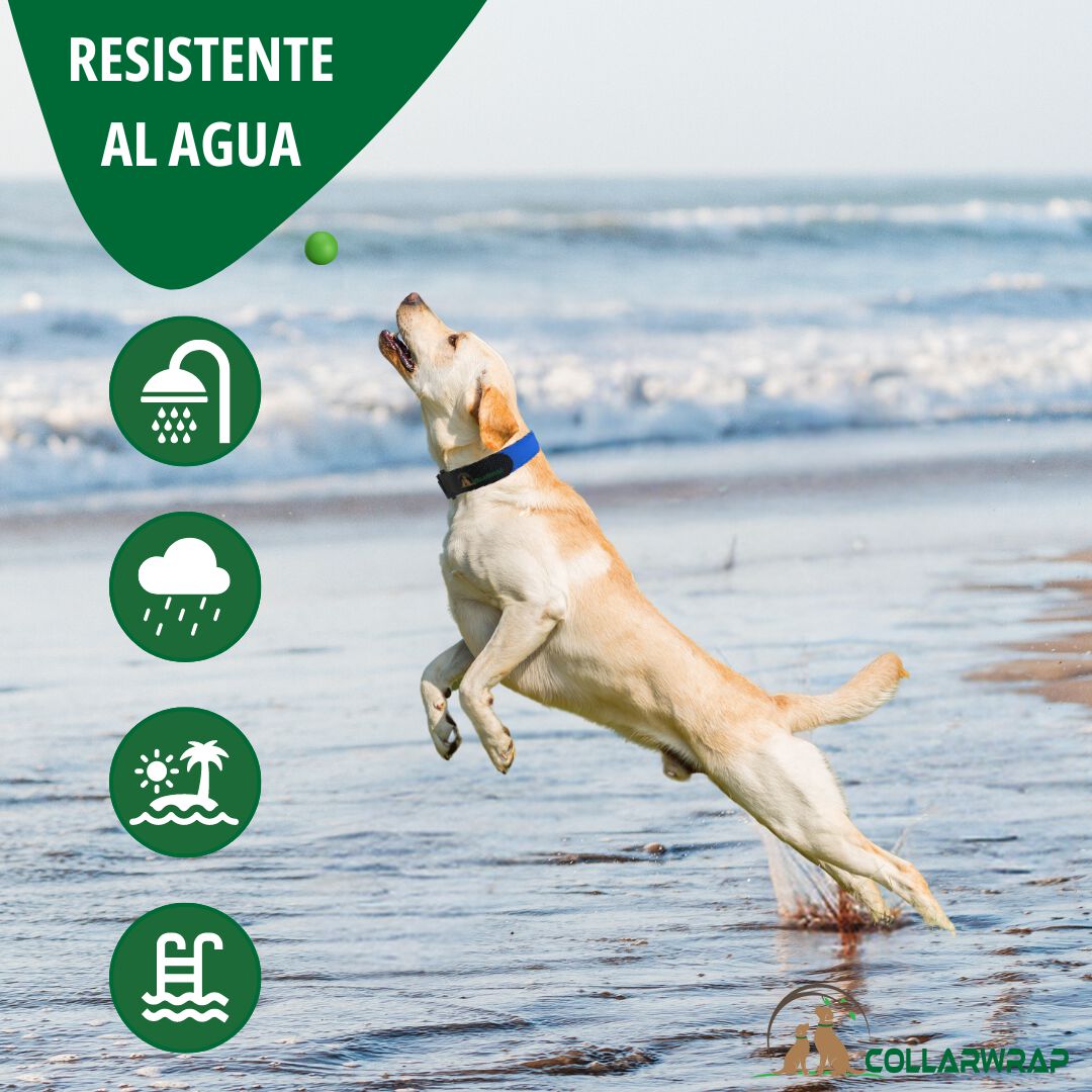 COLLARWRAP Funda Collar Antiparasitario Azul para perros thumbnail