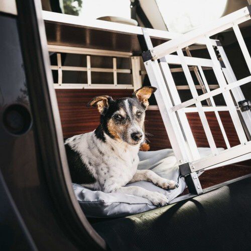 Esterilla Lodge de jaula para perros color Gris, , large Imagen numero 14