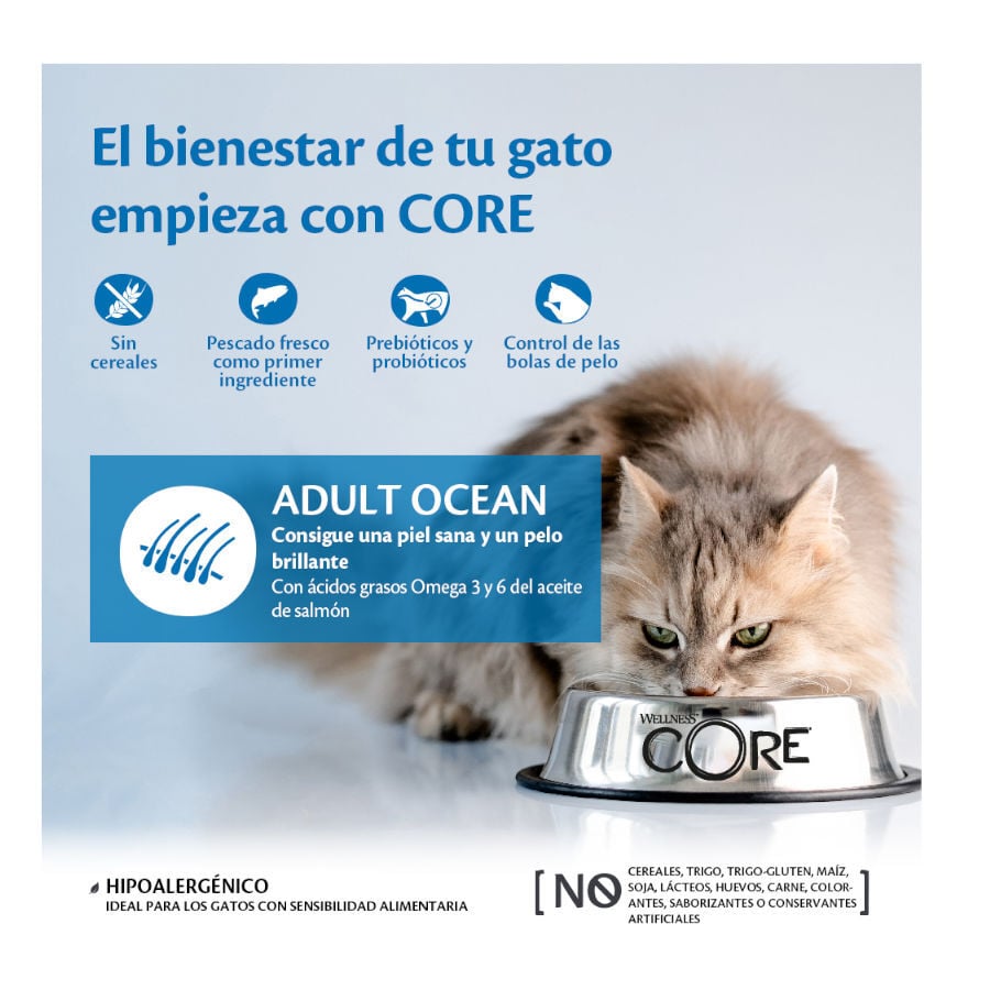 Wellness Core Adult Ocean Salmón y Atún pienso para gatos thumbnail