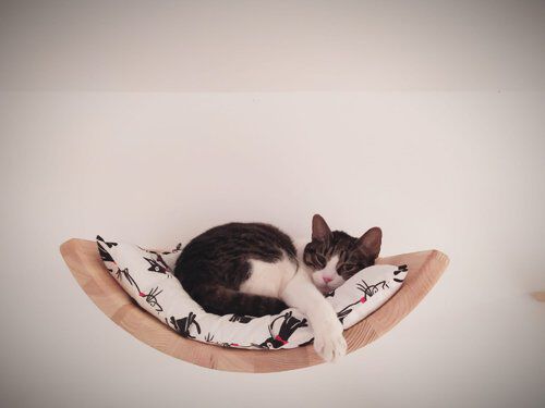 Cama Curva, , large Imagen numero 4