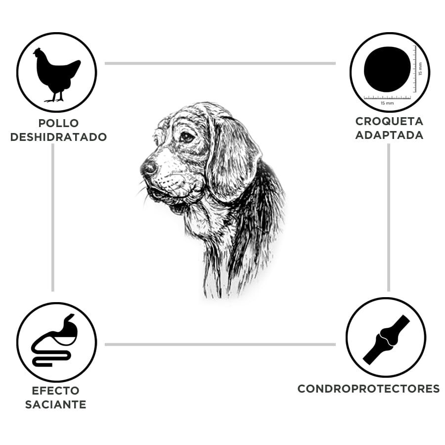 Criadores Adulto Light pienso para perros de raza grande y mediana thumbnail