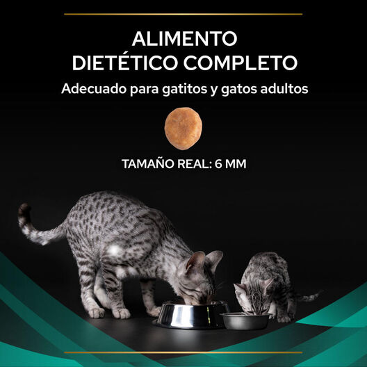 Pro Plan Veterinary Diets Gastrointestinal pienso para gatos, , large image number null