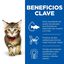 24 sobres x 85 g Hill's Science Plan Kitten Pollo y Pescado sobre para gatos  ¡Pack ahorro!, , large indicador imagen numero 3