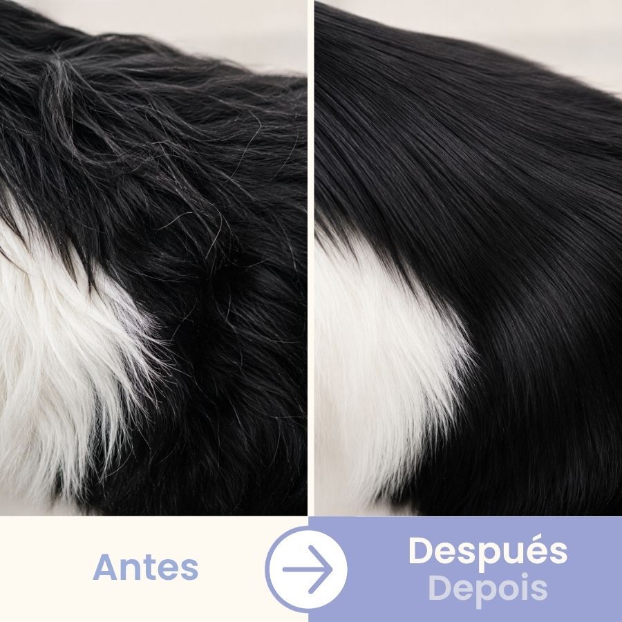 Bloob Guante de Cepillado para perros, , large Imagen numero 5