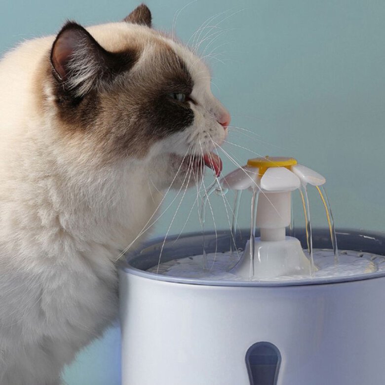 Dispensador automático de agua para perros y gatos, , large image number null