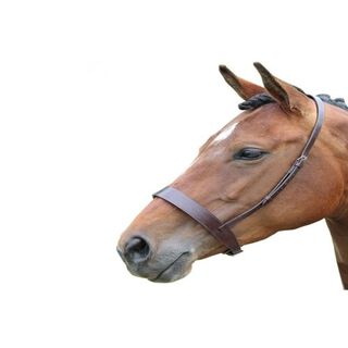 Blenheim Cabezada de Cuero Marrón Hunter Jaca para caballos