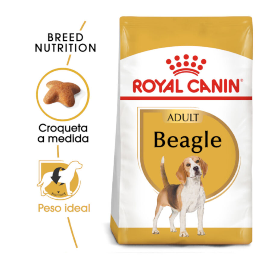 Royal Canin Adult Beagle pienso para perros thumbnail
