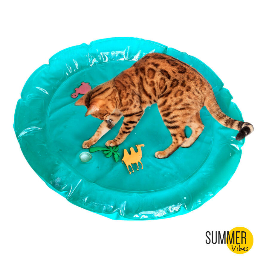 Summer Vibes Cama interactiva gato, , large Imagen numero 2