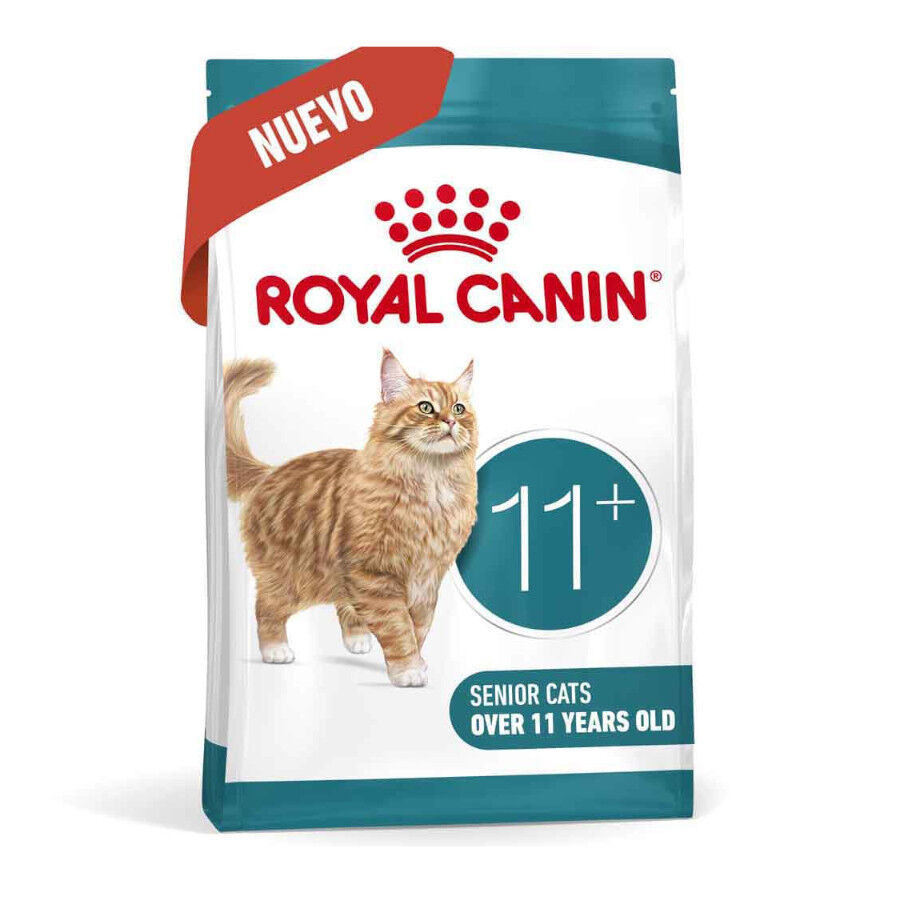 4 kg Royal Canin Ageing 11+ pienso para gatos, , large Imagen numero 2