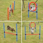 Set de entrenamiento PawHut 10 piezas  para Perros color Multicolor, , large image number null