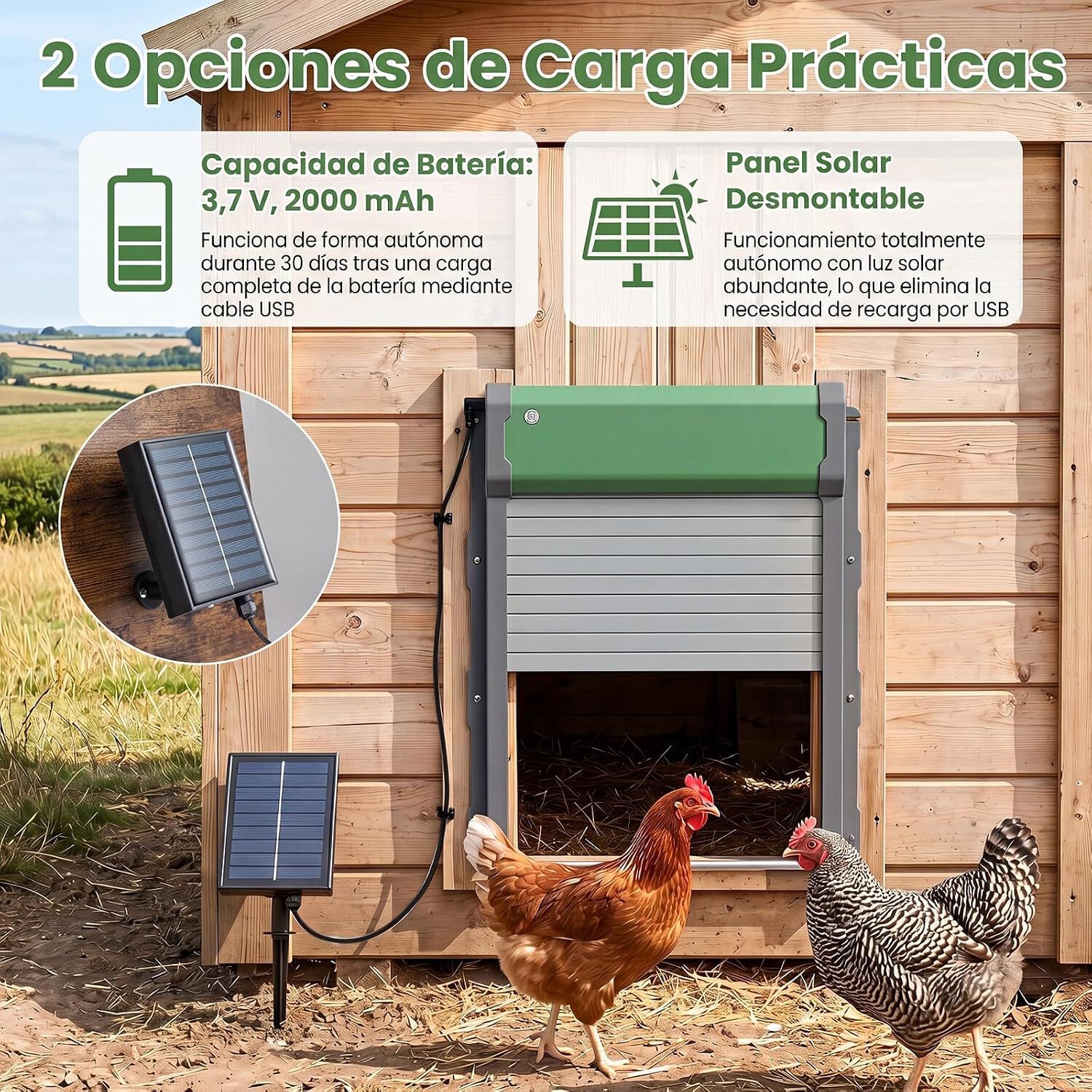 COSTWAY Puerta Gallinero Autom&aacute;tica Solar, Abridor de Puerta para Pollos con Mando a Distancia de 40 m, Sensor de Luz, 4 Modos de Trabajo, Temporizador, Cargador USB, Funci&oacute;n Antipellizco, , large Imagen numero 4
