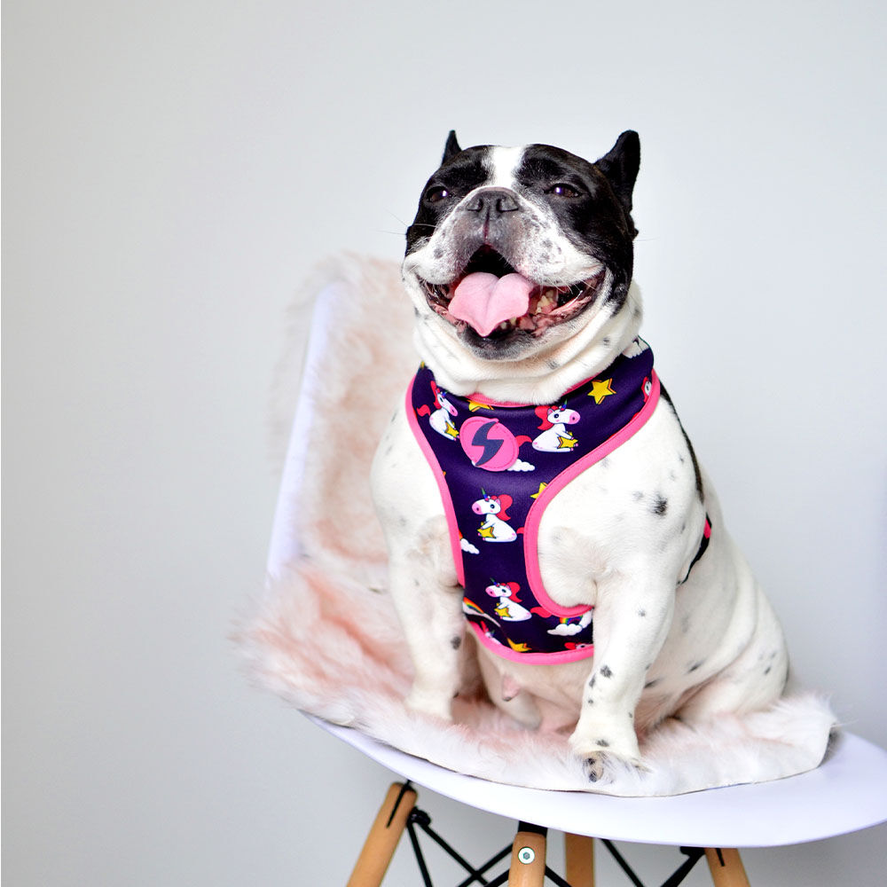 Arn&eacute;s reversible Unicorn Neo Mesh para perros color Varios, , large Imagen numero 3