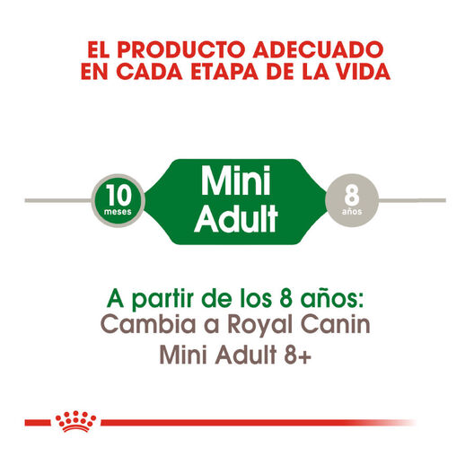 Royal Canin Mini Adult pienso para perros, , large image number null