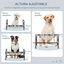 PawHut Comedero Elevado para Perros Altura Ajustable Cuencos para Perros con 2 Tazones 1100ml de Acero Inoxidable Tapete y Alimentador Lento 60x33x10-31,5 cm Gris, , large indicador imagen numero 4