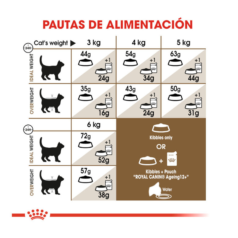 Royal Canin Ageing 12+ Sterilised pienso para gatos, , large image number null