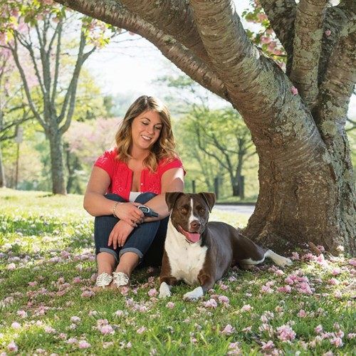 Collar de adiestramiento antiladridos color Gris, , large Imagen numero 2