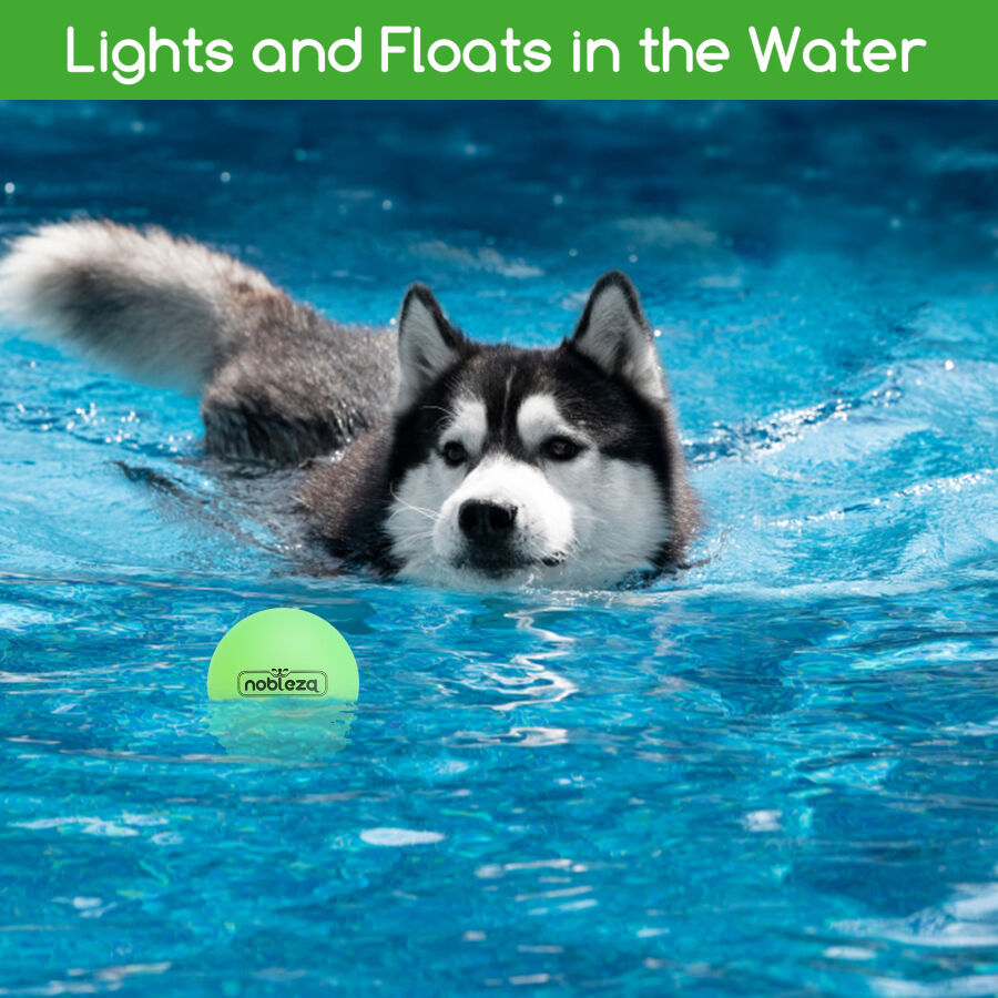 Nobleza Nobleza Pelota que brilla en la oscuridad para perro thumbnail