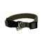 BULL COLLAR ELASTICO PARA GATO (LISO VERDE), , large indicador imagen numero 1