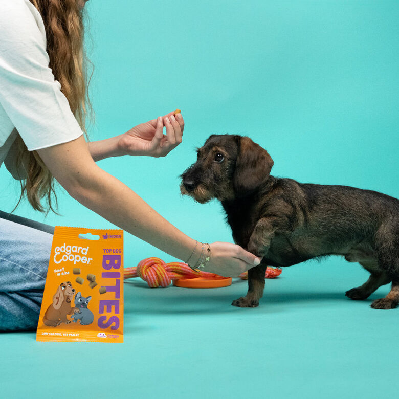 Edgard &amp; Cooper Bocaditos Mini de Pavo y Pollo para perros thumbnail