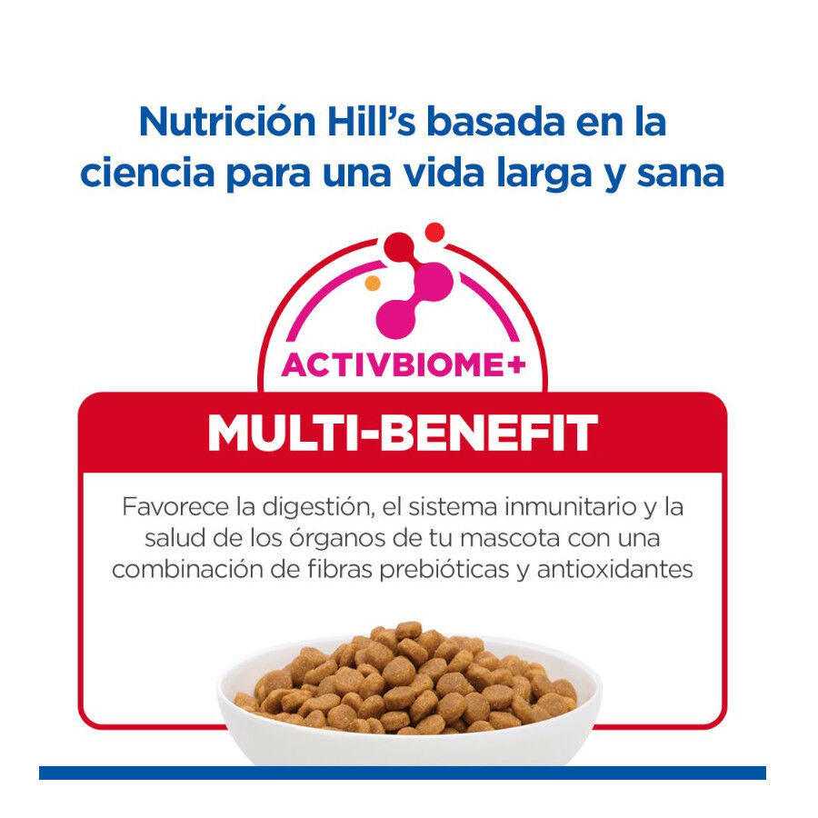 1.5 kg Hill's Science Plan Pienso Salm&oacute;n para gatitos, , large Imagen numero 8