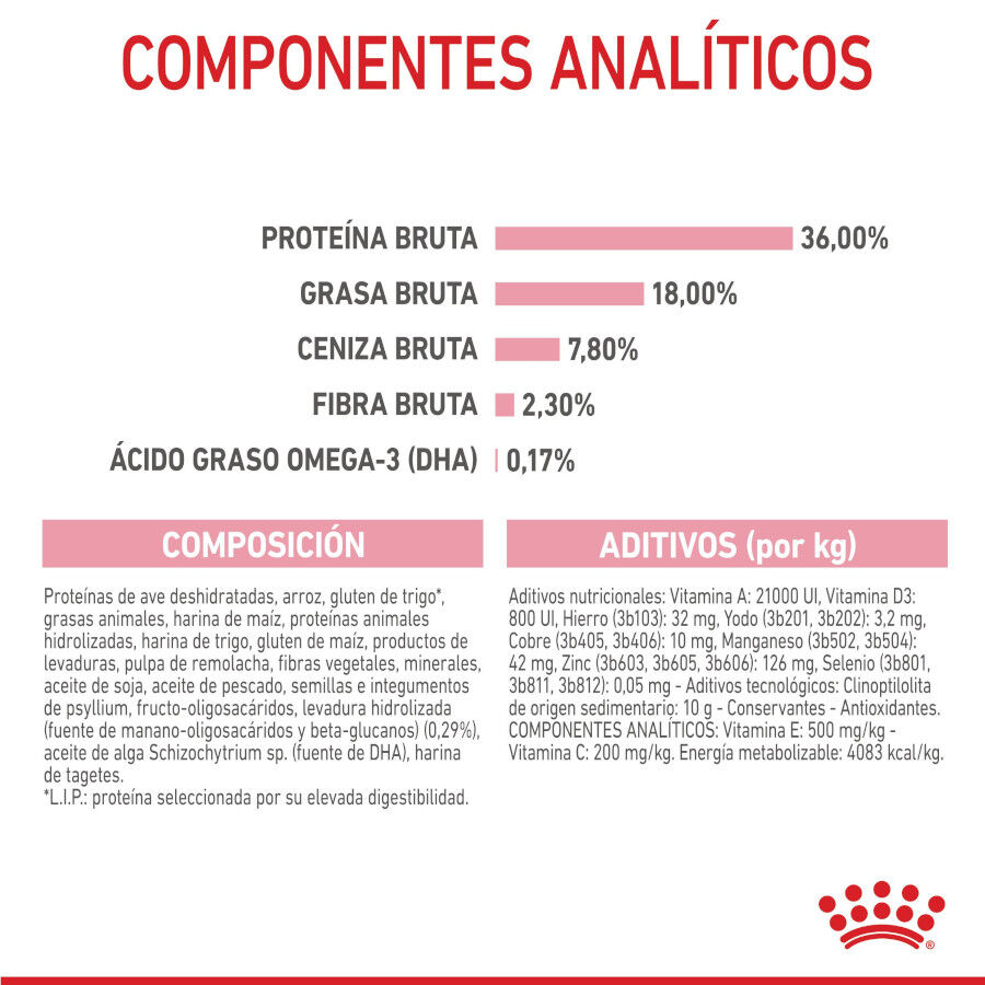 Royal Canin Kitten pienso para gatos thumbnail