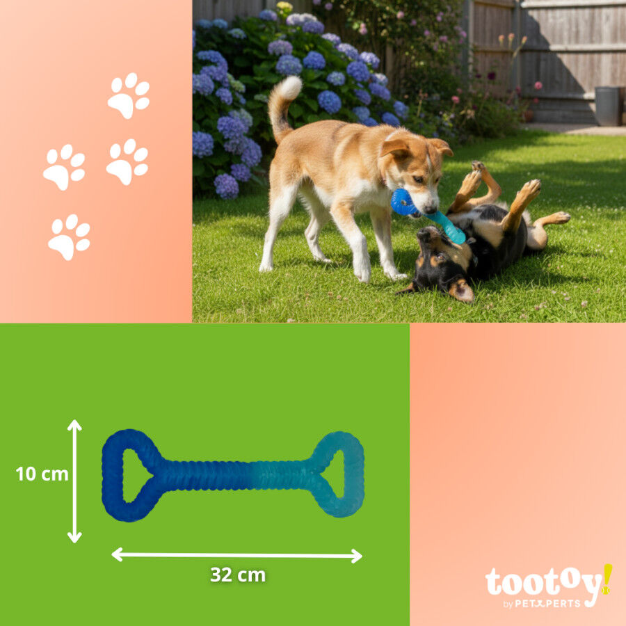 Tootoy! Mordedor Grill and Pull Azul para perros, , large Imagen numero 4