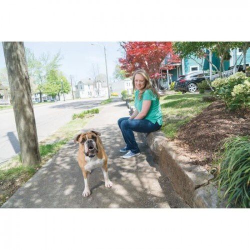 Petsafe sistema de adiestramiento apoyo educativo para perros, , large Imagen numero 3