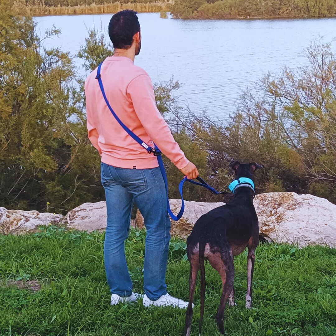 EGV - Correa multiposicion perro con doble asa de neopreno. Correa perro manos libres de 2,50 metros de longitud. (Azul el&eacute;ctrico), , large Imagen numero 4