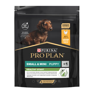 Pro Plan Puppy Small y Mini Pollo pienso para perros