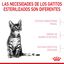 3.5 kg Royal Canin Kitten Sterilised pienso para gatos, , large indicador imagen numero 4