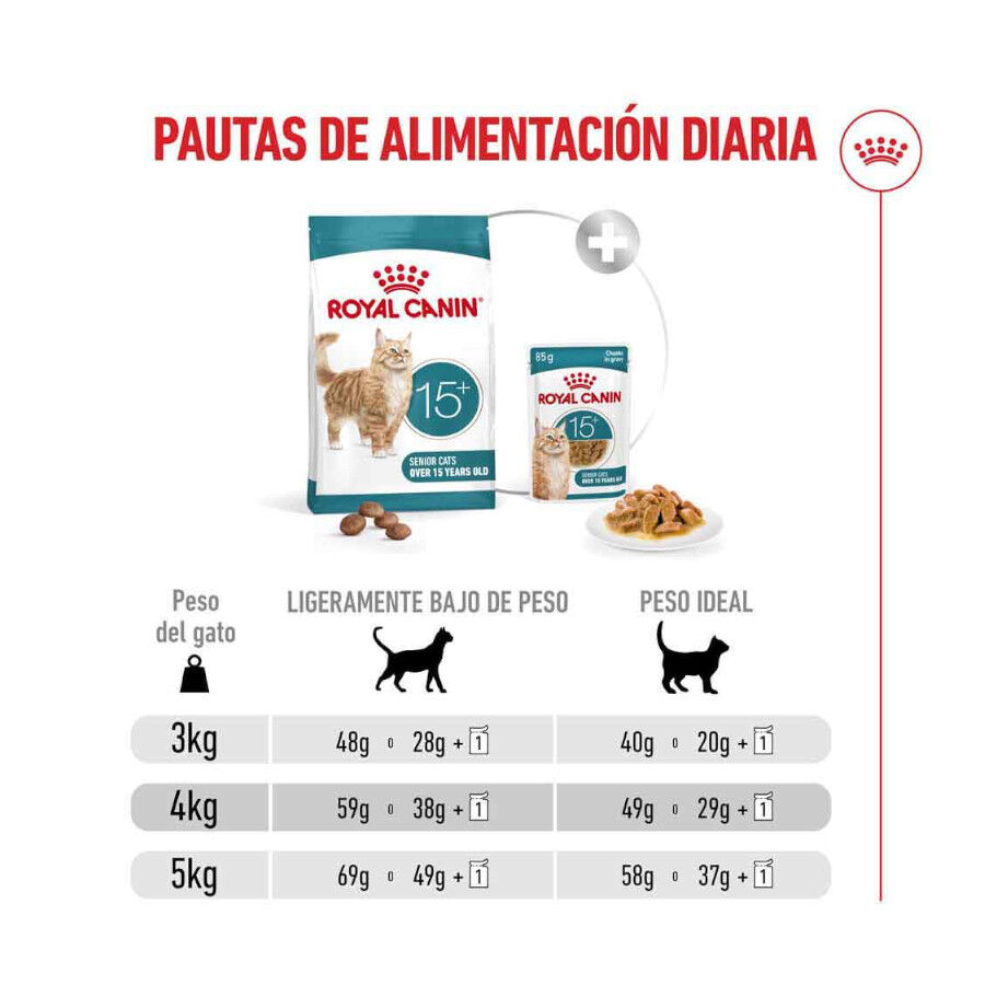 400 g Royal Canin Ageing +15 pienso para gato senior, , large Imagen numero 8
