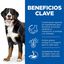 Hill's Science Plan Youthful vitality Large pienso para perros, , large indicador imagen numero 3