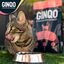 GINQO GATOS: HYPOALERGÉNICO, GRAIN FREE Y SOSTENIBLE. HECHO CON PROTEINA DE INSECTOS, , large indicador imagen numero 4