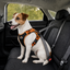 Outech X-perience Arn&eacute;s de Coche para perros, , large indicador imagen numero 2