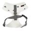 Arnés para perros Puppia Algo Soft color Ivory, , large indicador imagen numero 2