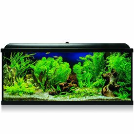 ICA Kit Aqua LED Pro 240 Negro con filtro exterior para acuarios