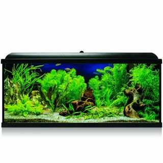 ICA Kit Aqua LED Pro 240 Negro con filtro exterior para acuarios