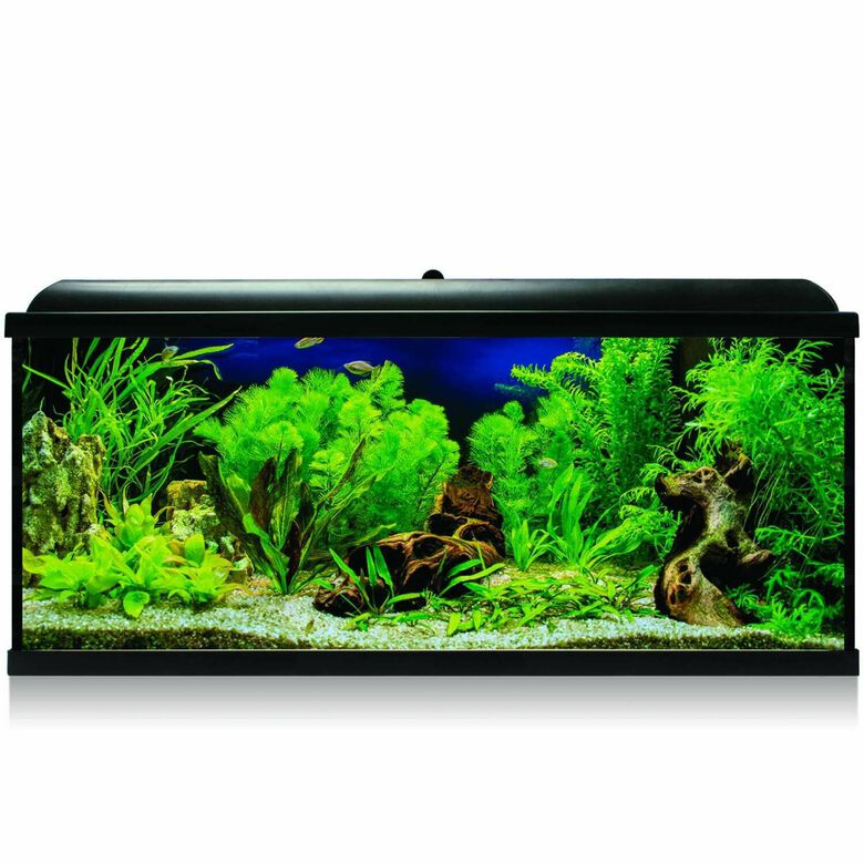 ICA Kit Aqua LED Pro 240 Negro con filtro exterior para acuarios