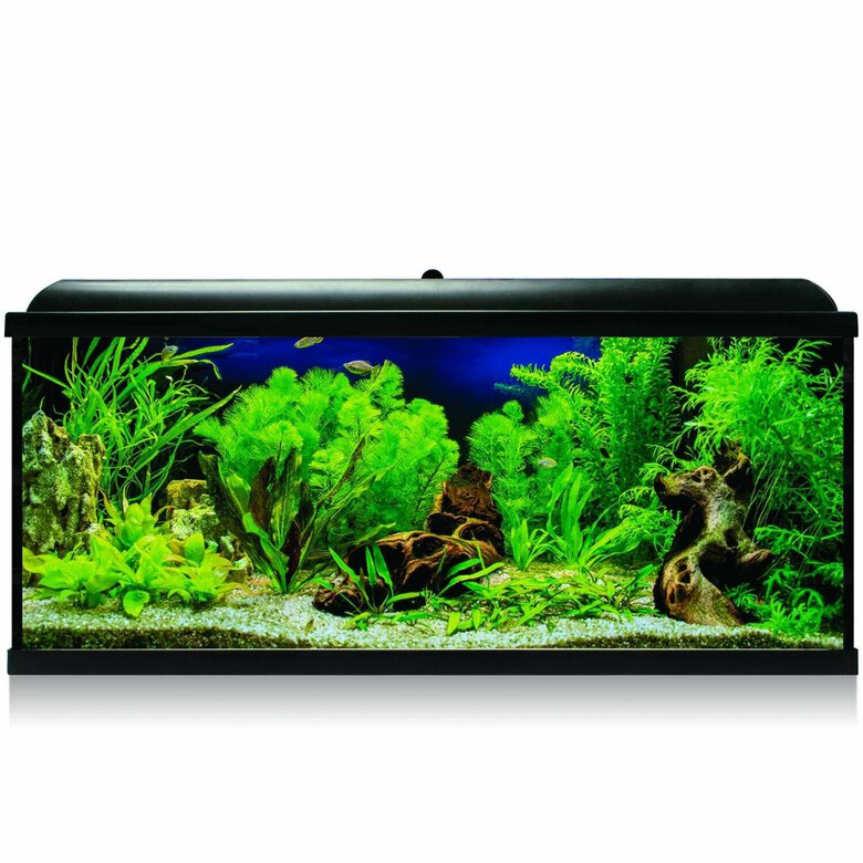 Kit AQUA LED PRO 240 NEGRO con filtro exterior