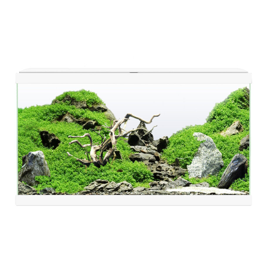 Ciano Aqua Led 60 Blanco acuario con luz led, filtro y calentador, , large Imagen numero 2