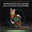 12 kg (10 + 2 kg ¡gratis!) Pro Plan Adult Sterilized Salmón Pienso para gatos, , large indicador imagen numero 5