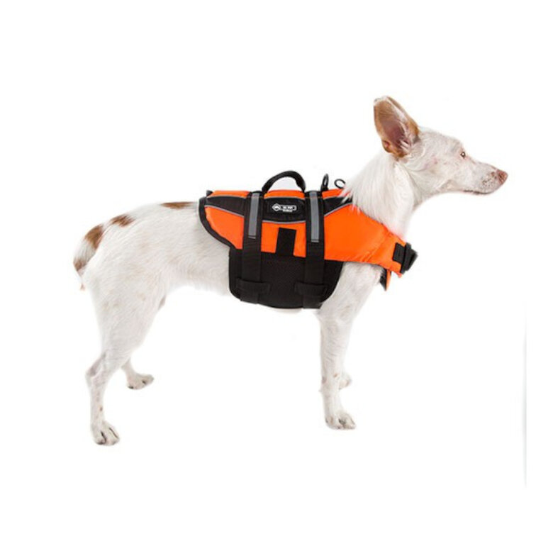 TK-Pet Pirineos Chaleco salvavidas naranja para perros, , large image number null