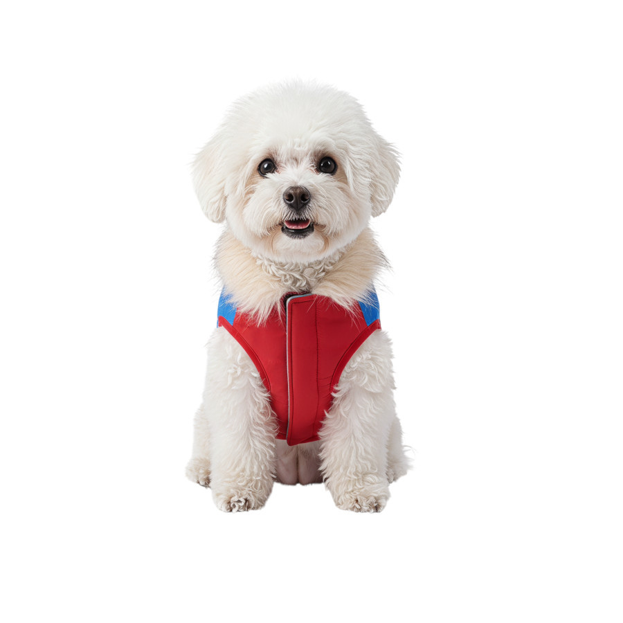 Gotoo Abrigo Rojo con Capucha para perros, , large Imagen numero 7